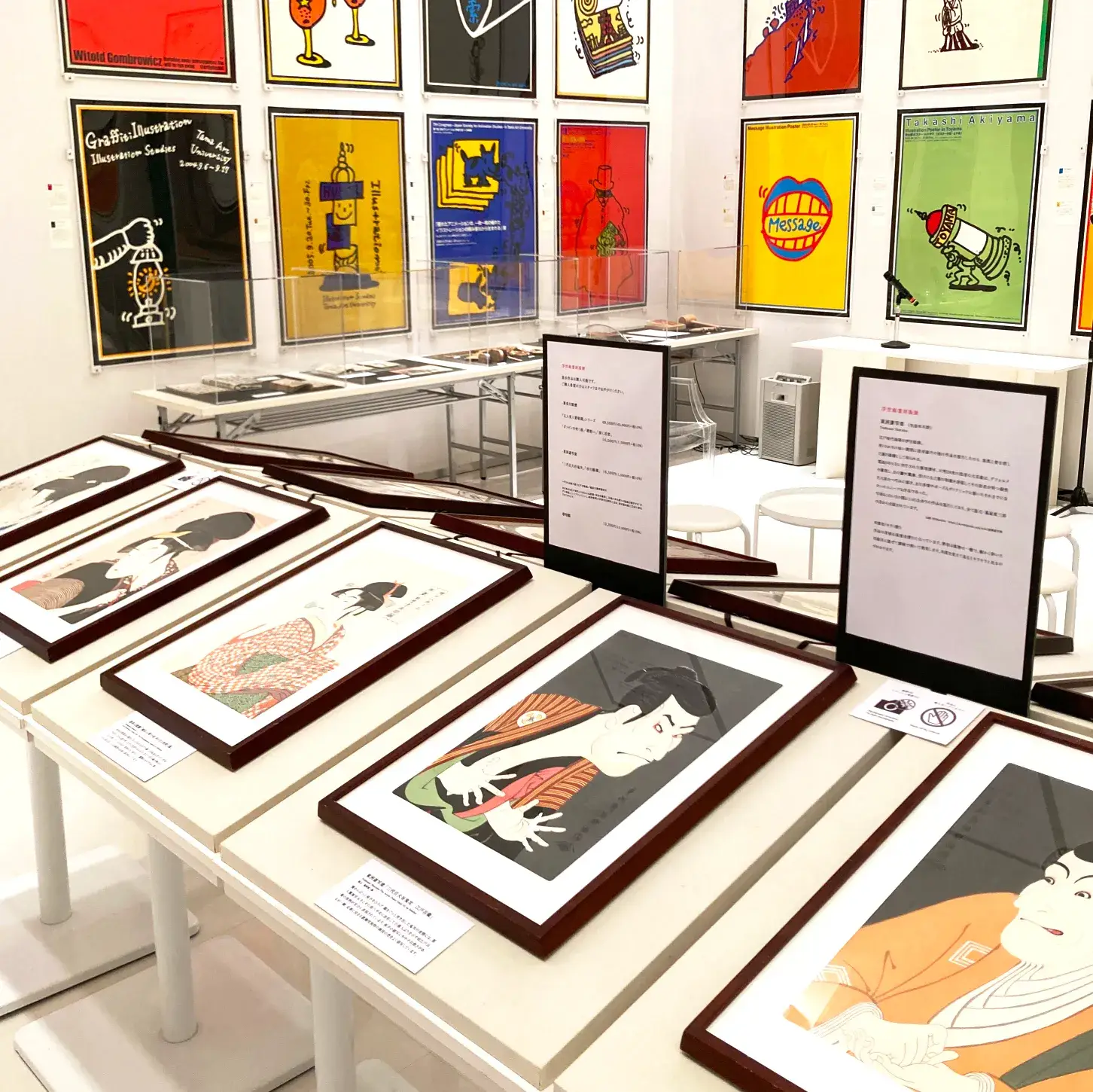 展示の様子