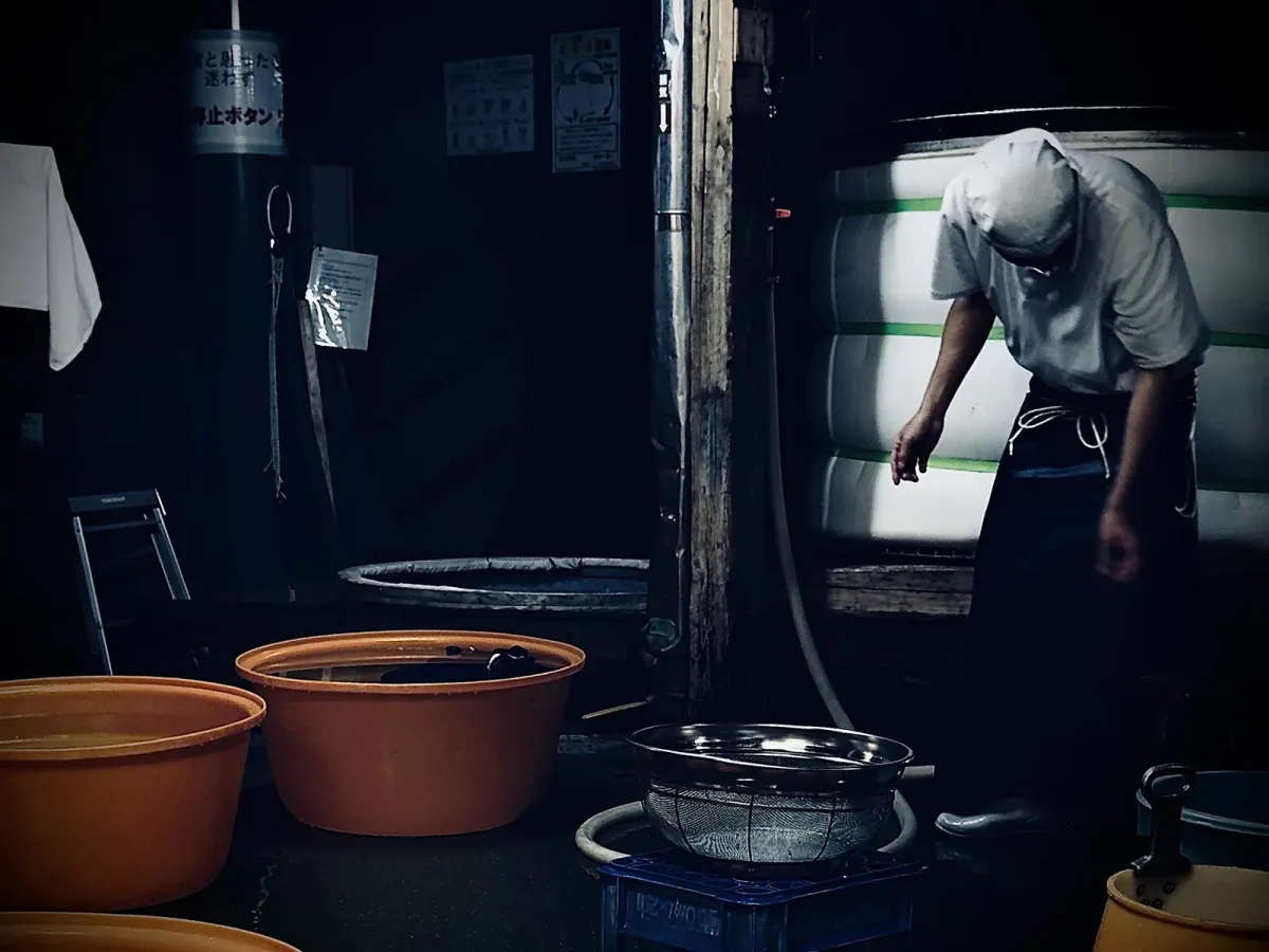 杜氏が酒米の工程作業を行う様子