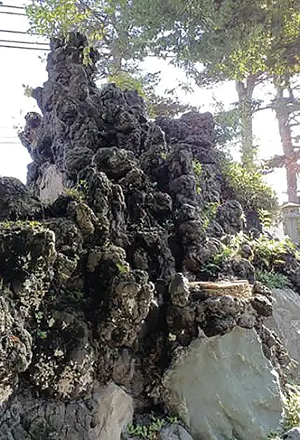 溶岩でつくられた築山