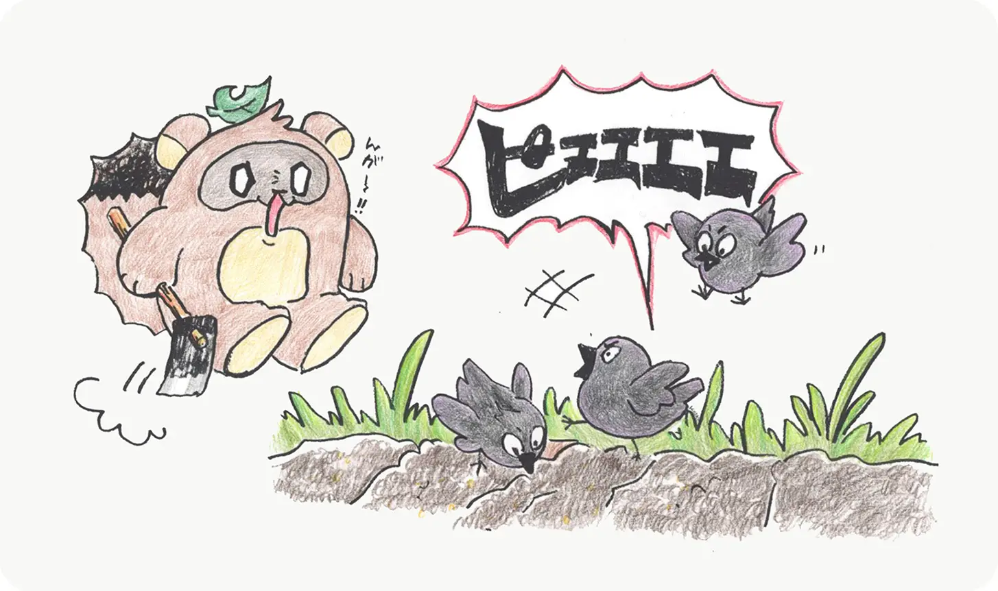 鳥に畑を荒らされてたぬきが驚いているイラスト