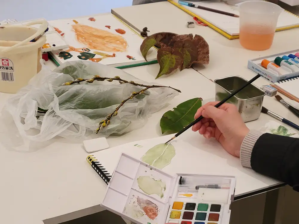 採集した植物を観察しながら水彩で彩色する様子